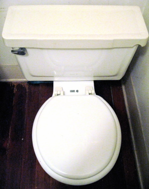 toilet.jpg