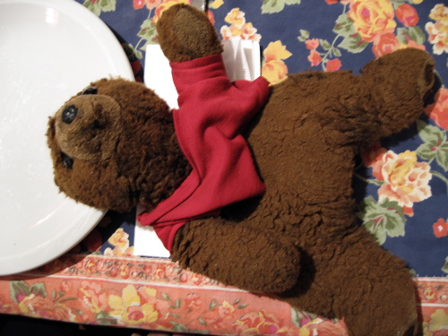 sophiesbear.jpg