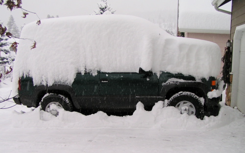 Snow121820081.jpg