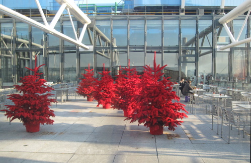 PompidouTrees.jpg
