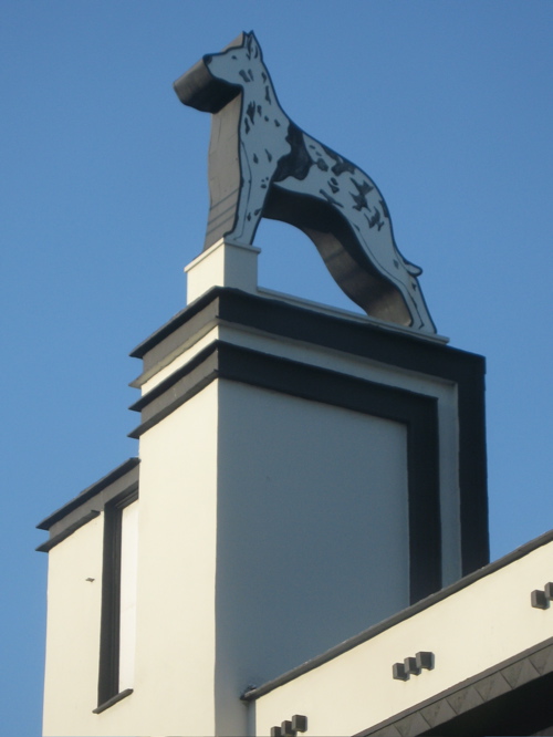 doggielabrea.jpg