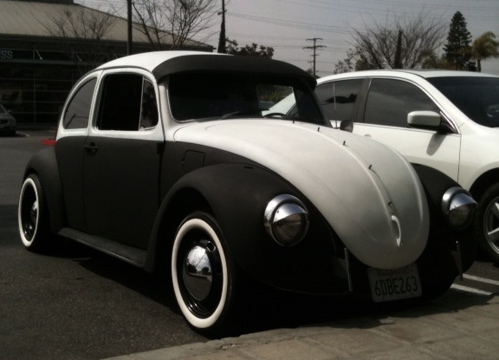 BWBug.jpg
