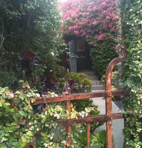 morningwalk.JPG