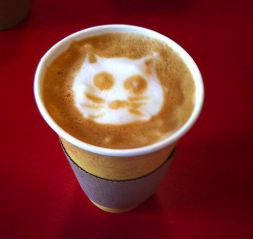lattekitty.JPG