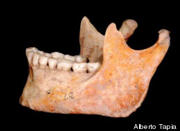 s-CAVEMAN-BONES-large.jpeg