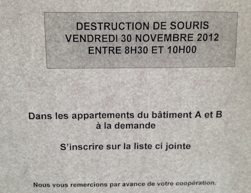 sourisdie.jpg