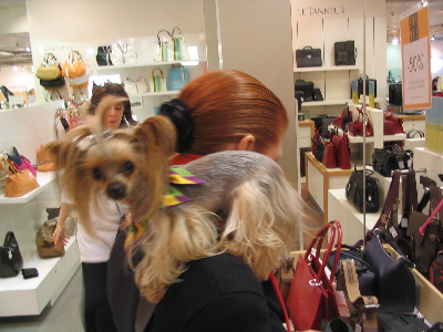 Lucy shoulder 2-1.jpg