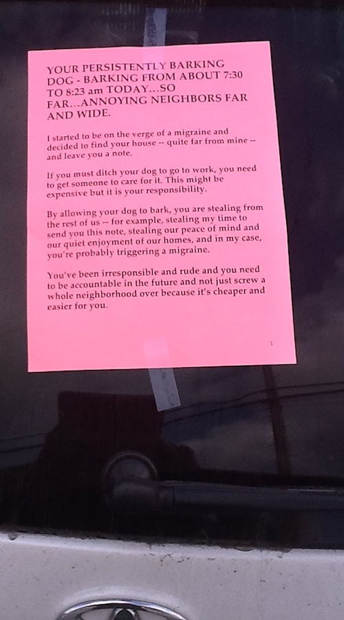 persistent barking.JPG