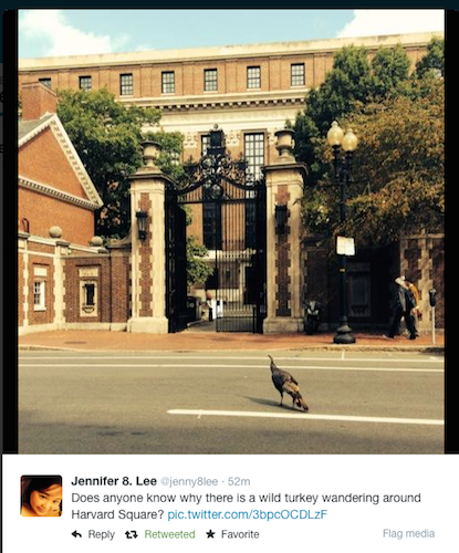 Screen Shot 2014-09-24 at 8.55.18 AM.png