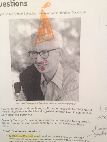 TinbergenPlusGregg.JPG