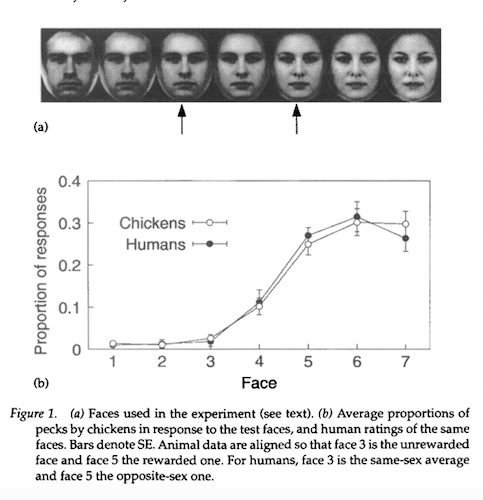 CYFo5MjVAAAqqON copy.jpg