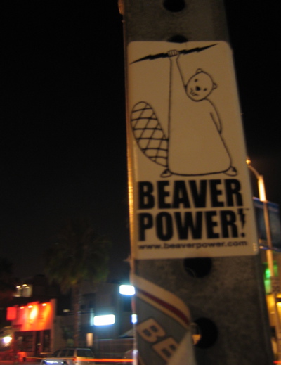 beaverpower.jpg
