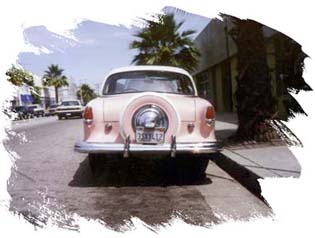 The Pink Rambler